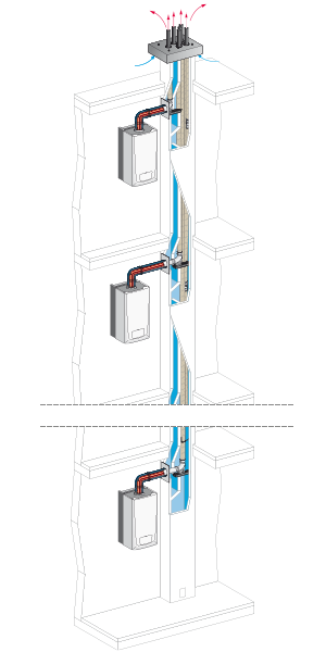 DUALIS RENODENS system