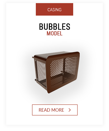 BUBBLES MODEL